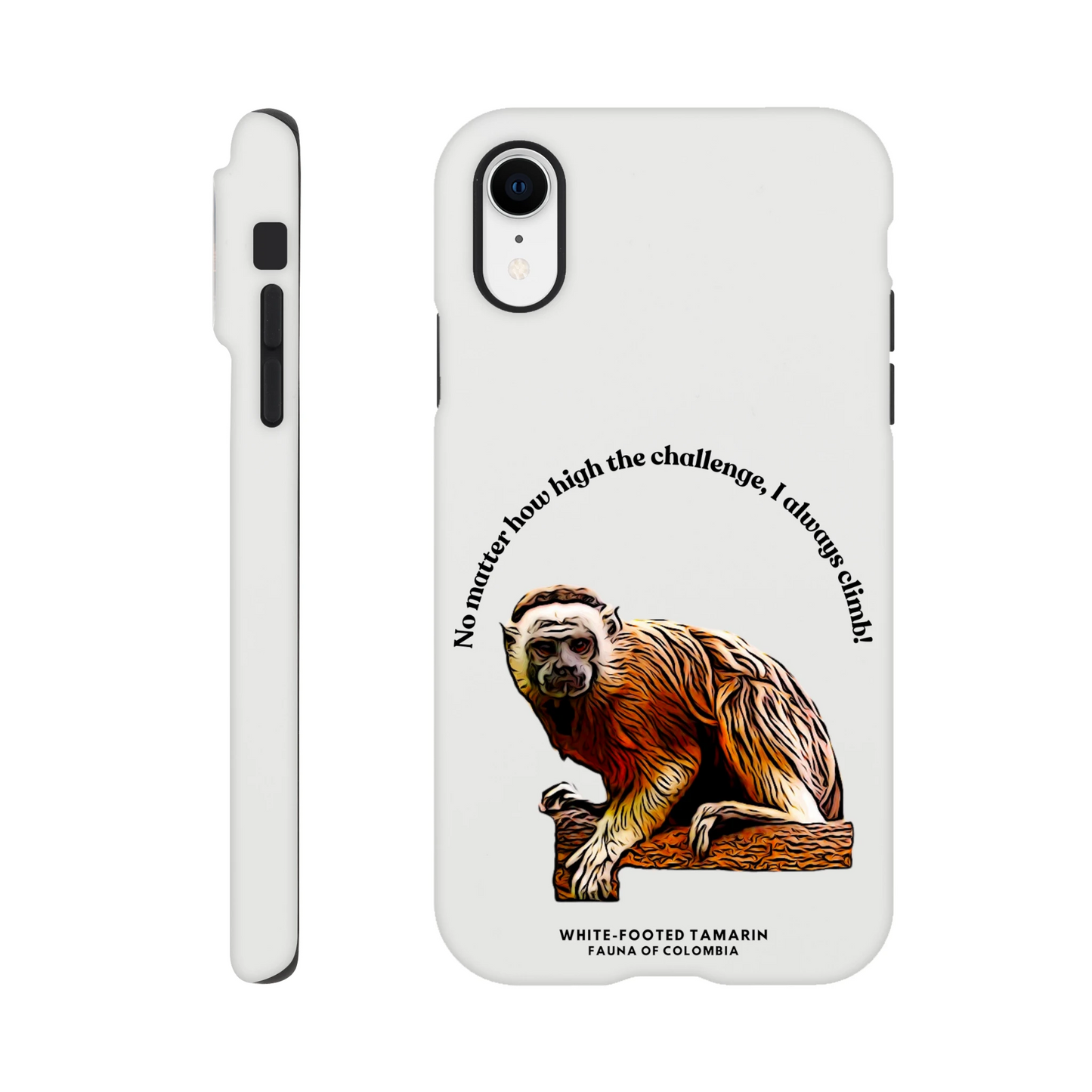 24111032-8e9d-479a-8647-80014fd27308