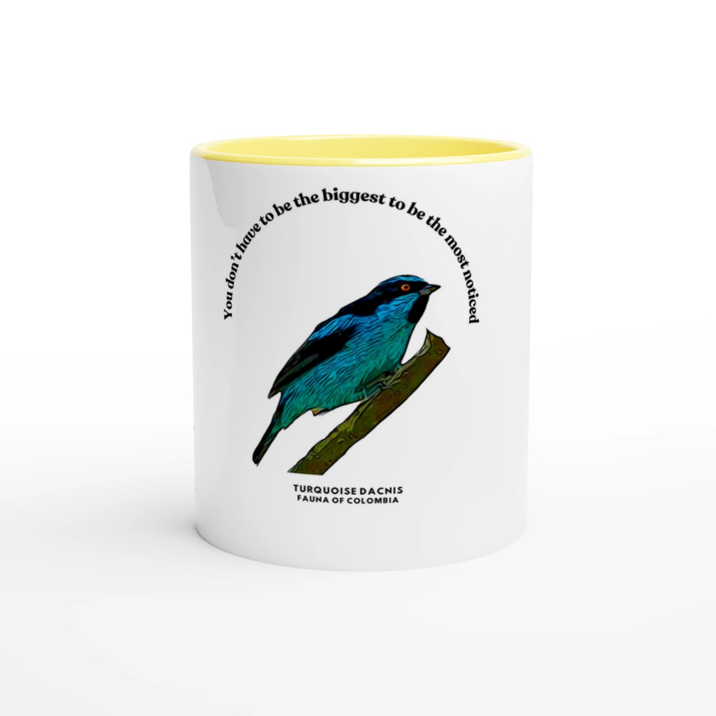 43d11c39-93c4-4e3d-a422-bfbfb82b5222