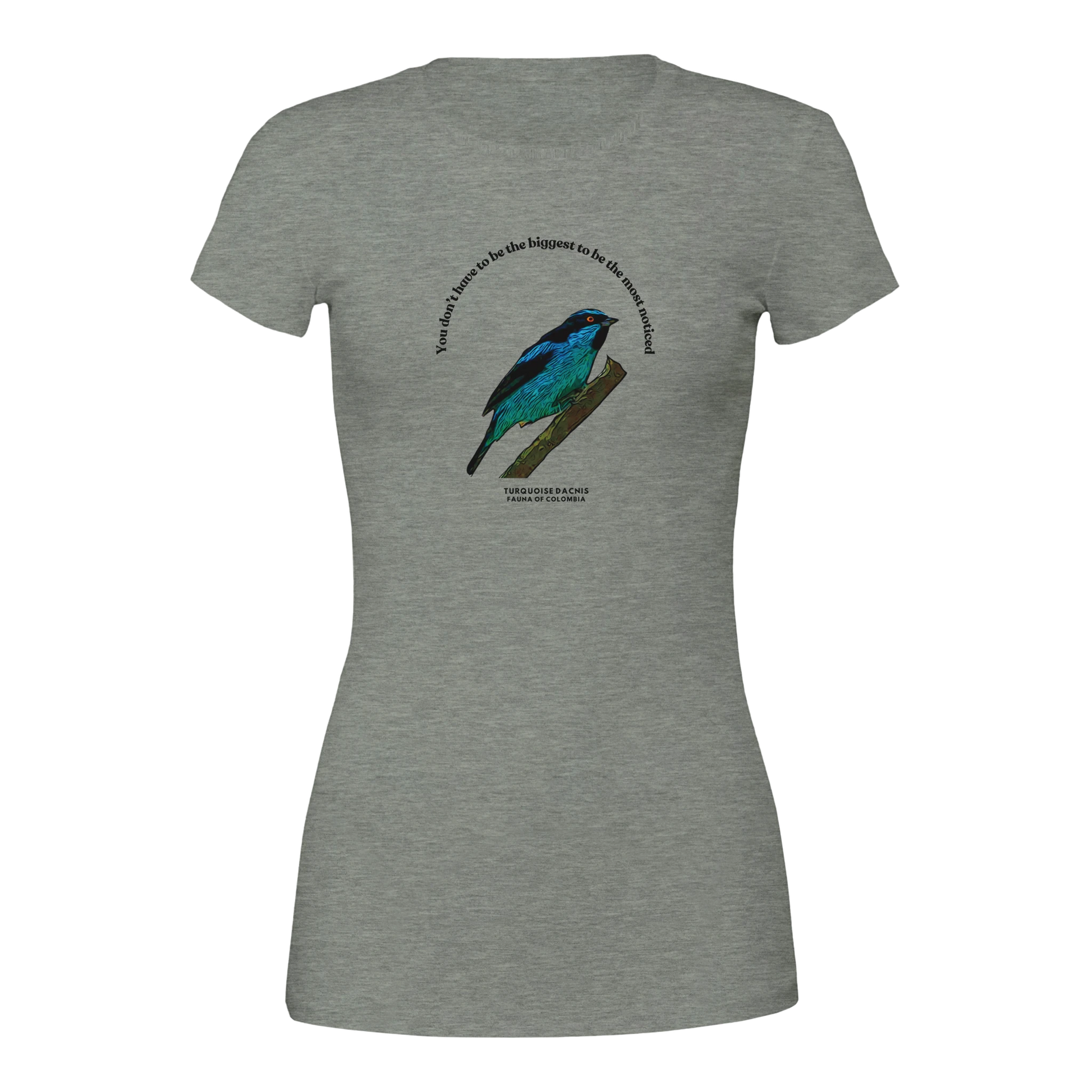 5e00fb71-d0fa-4b34-a306-a33e396223df